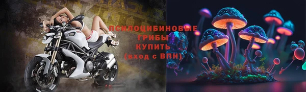 кокс Богородск