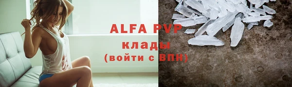 эйфоретик Баксан