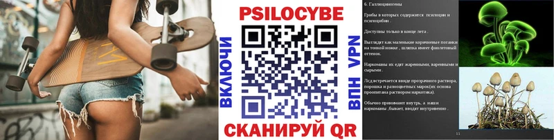 Псилоцибиновые грибы Psilocybe  Бугульма 